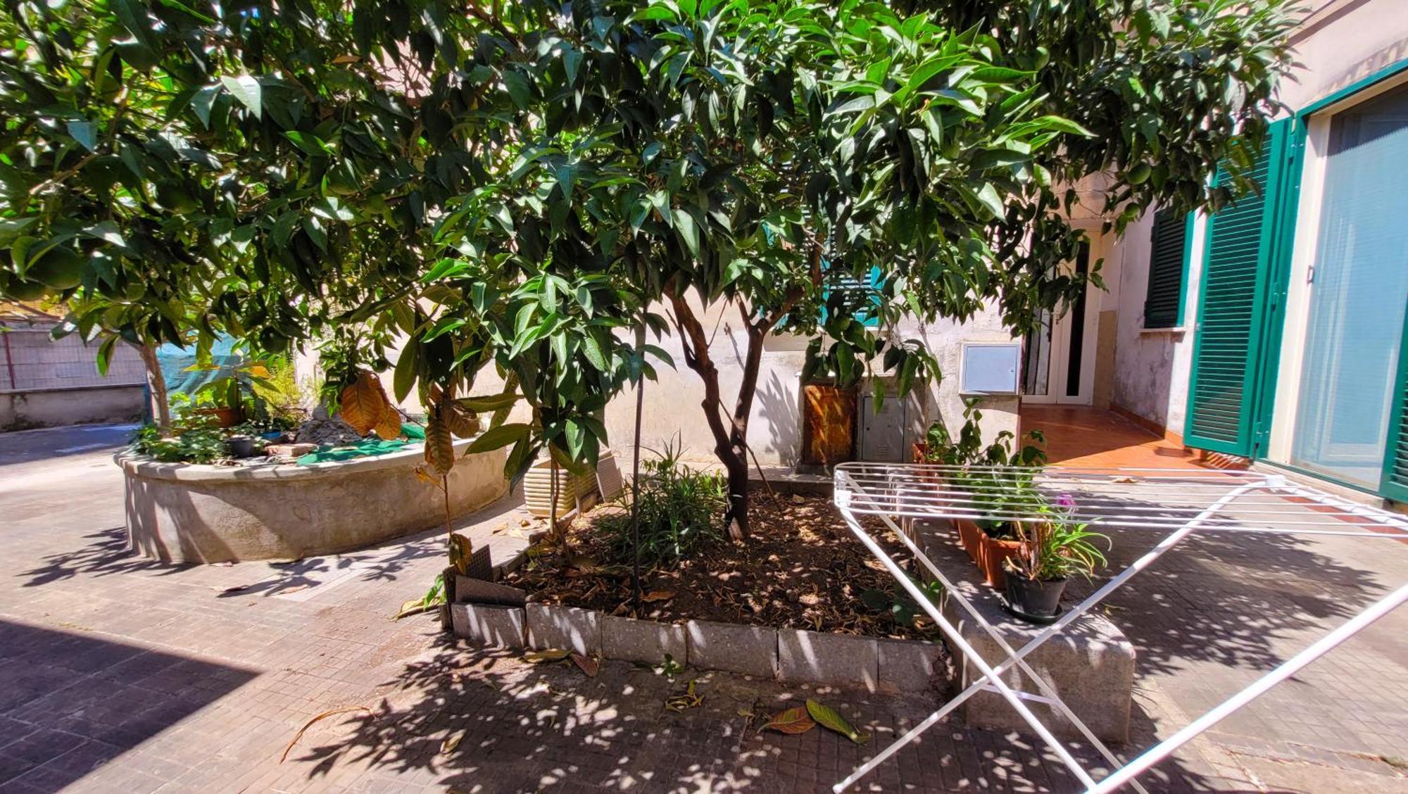 Grazioso A Apartment *